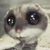 hi_random_person07