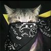 xyzzt_4