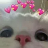 gabriellye191
