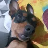 hugo_04446