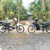 ownernyavebet_097