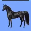hehehe12344556