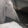 dannet_tolaba