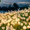 huyen.huyen8229