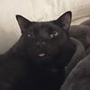 Salem 🖤