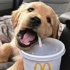 mcdonaldslover0830