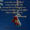 myat.thu4257