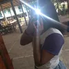 harianesanto