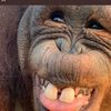 owen.dagoat21