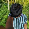 saanik809