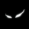 duck_cod
