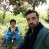 tote.zadran