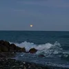 kaye_m18