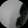 user4451654081043