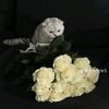 user50069012048170