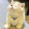nkuajkiaa