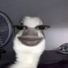 b_k_c011
