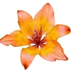 ww.mielli