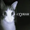 c.ai_2011