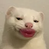 jenc802