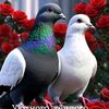 user1551048859509