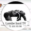 lambebaoltv