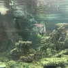 lquang_24