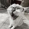 wyughk4