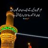 hussani__