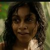 mowgli5302