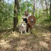 sascha.odinson