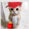 mariaisthebest01