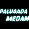 palugada_medan_bisnis
