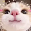 uk_erath