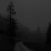 1kojy