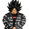 fresh_broly