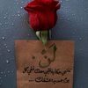 zso_24