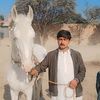 niaz733gb