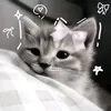 anikxs28