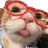 hng.ngc.cute000