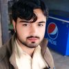 masif2409
