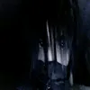 8dllshine