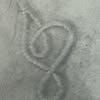 asym67