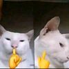 pratama.khoto