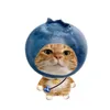 thien_khanh_me_phim