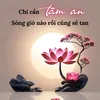 lan.hong2430