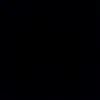 iic_hana1