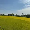 mi_ne001