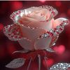 sn.sadiya32