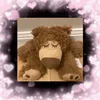 viral_bear2